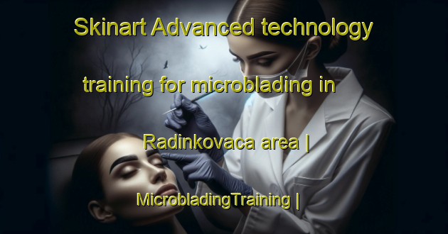 Skinart Advanced technology training for microblading in Radinkovaca area | MicrobladingTraining | MicrobladingClasses | SkinartTraining-Serbia